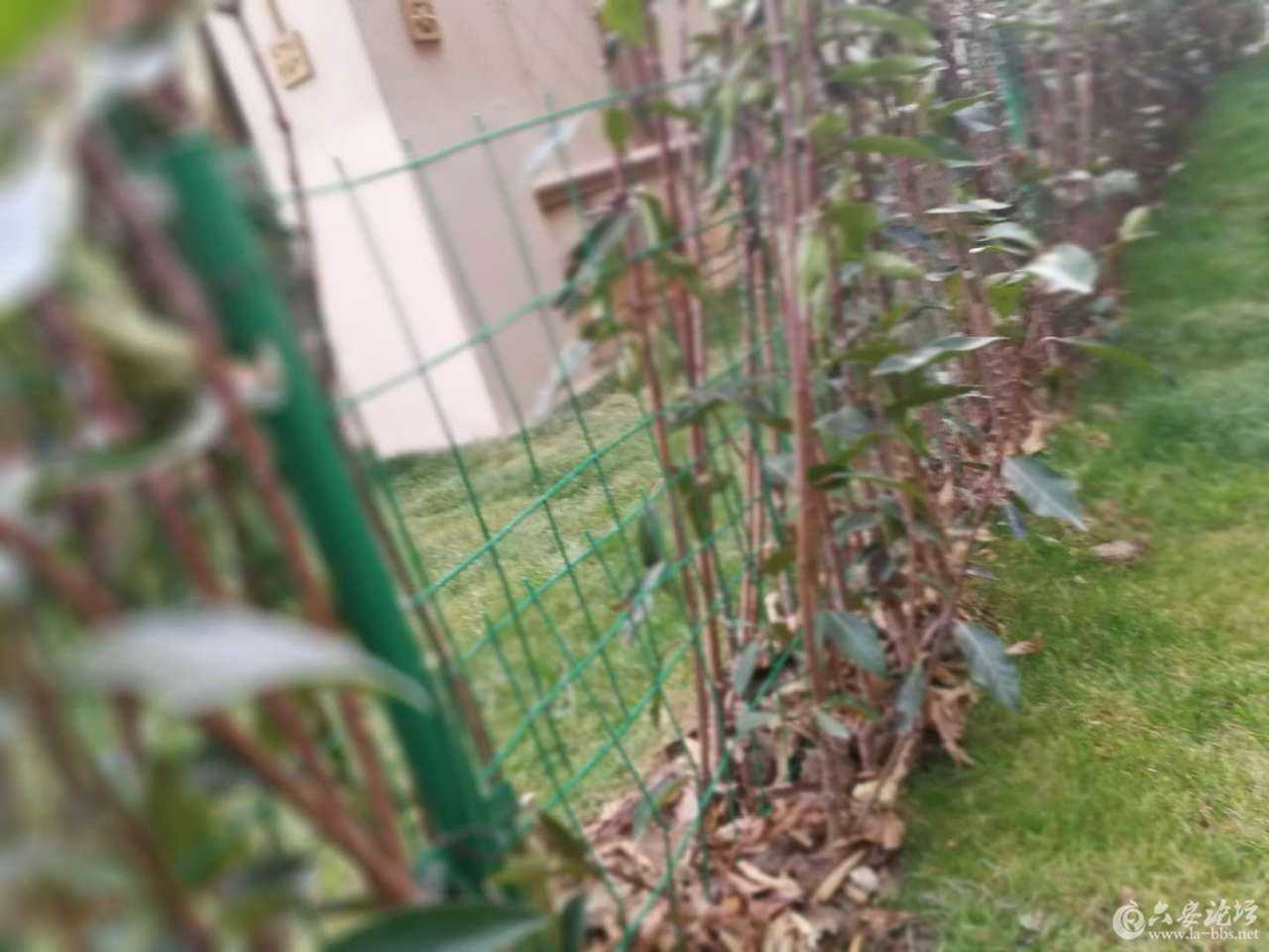 20180114_264760_1515939887662.jpg