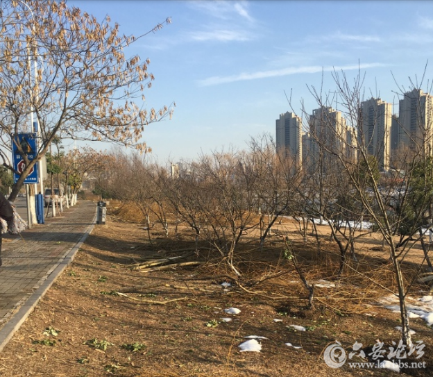 QQ截图20180115093101.png