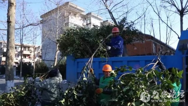 QQ截图20180115093110.png