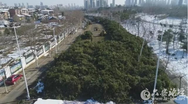 QQ截图20180115093158.png