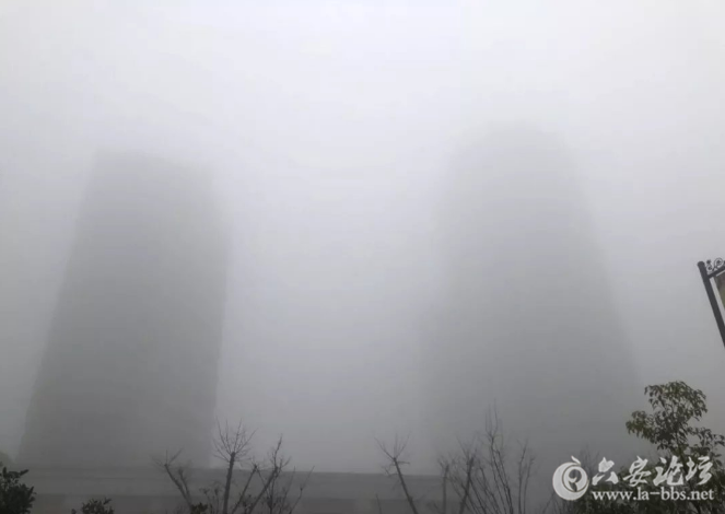 QQ截图20180117085652.png