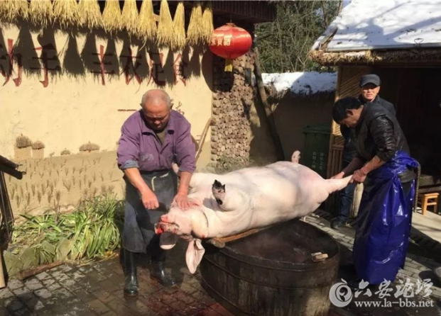 QQ截图20180126111731.png