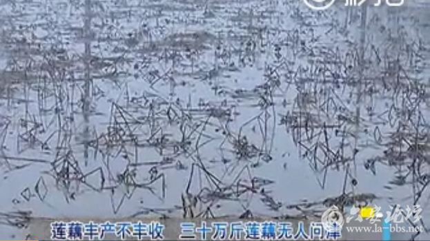 QQ截图20180129095740.png