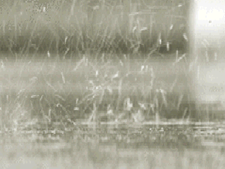 12.gif