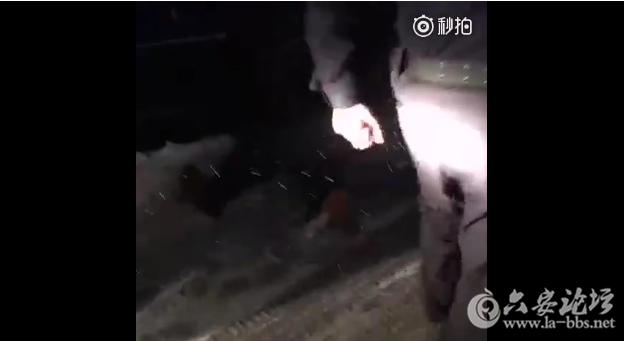 QQ截图20180130094111.png