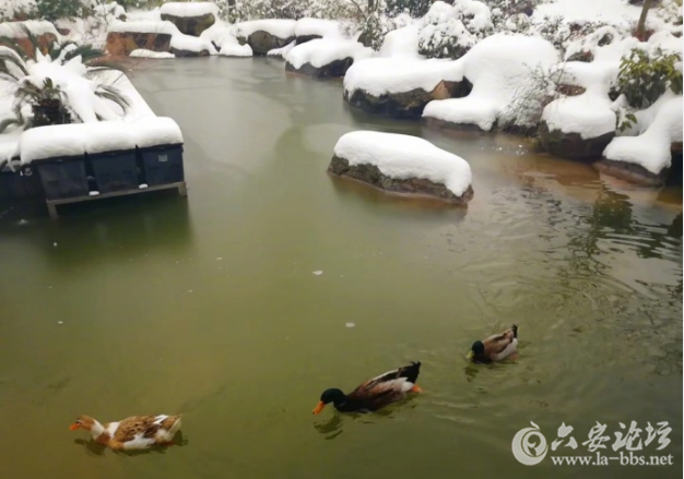 QQ截图20180130095537.png