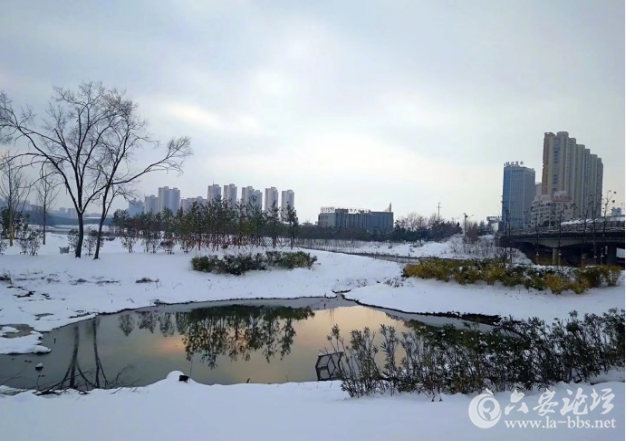 QQ截图20180130095556.png