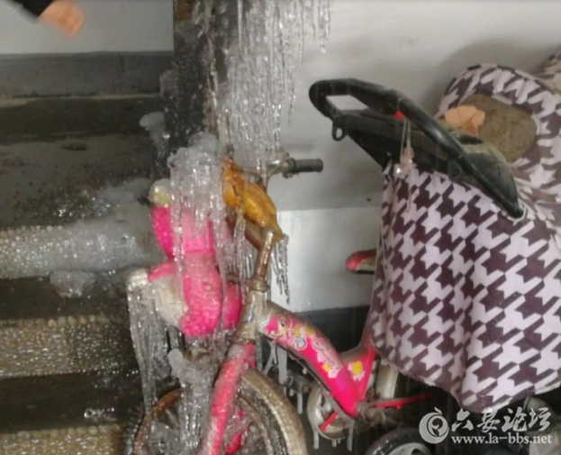 QQ截图20180131093304.png