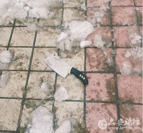 QQ截图20180131132423.png