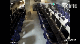11.gif