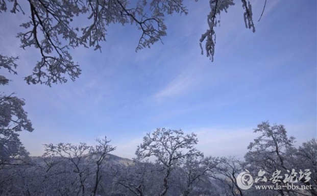 QQ截图20180205104225.png