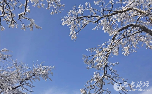 QQ截图20180205104246.png