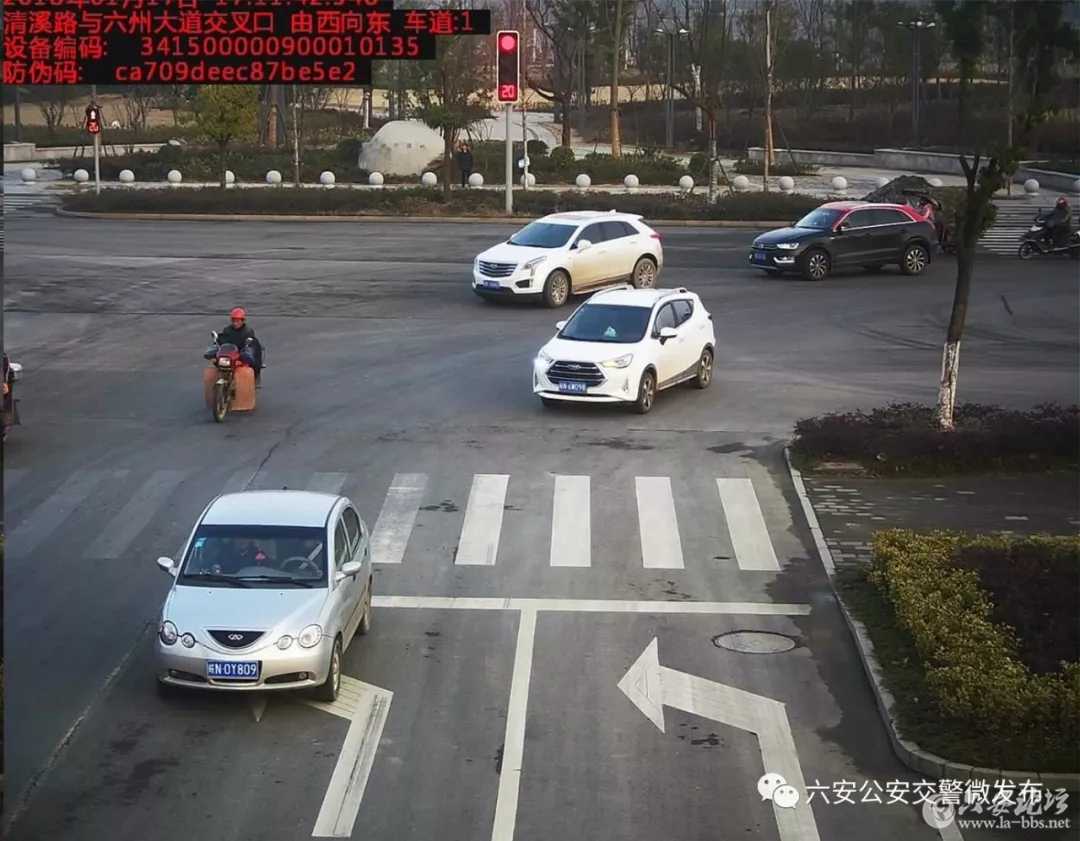 3.webp.jpg