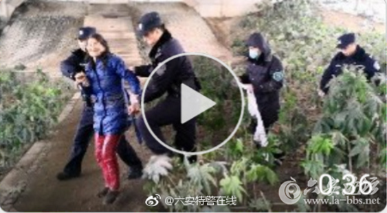 QQ截图20180207105945.png