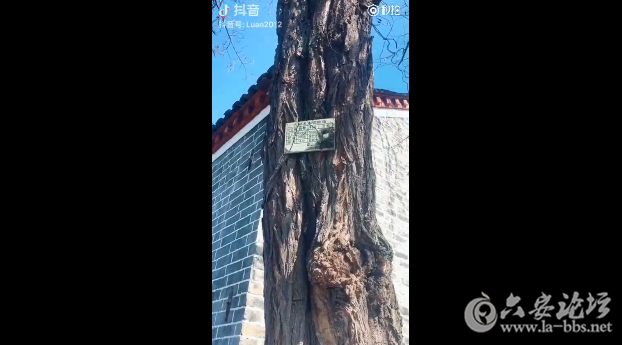 QQ截图20180208091922.png