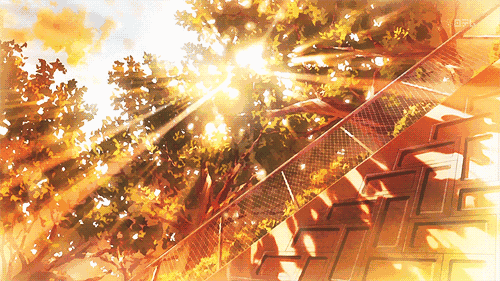 2.gif