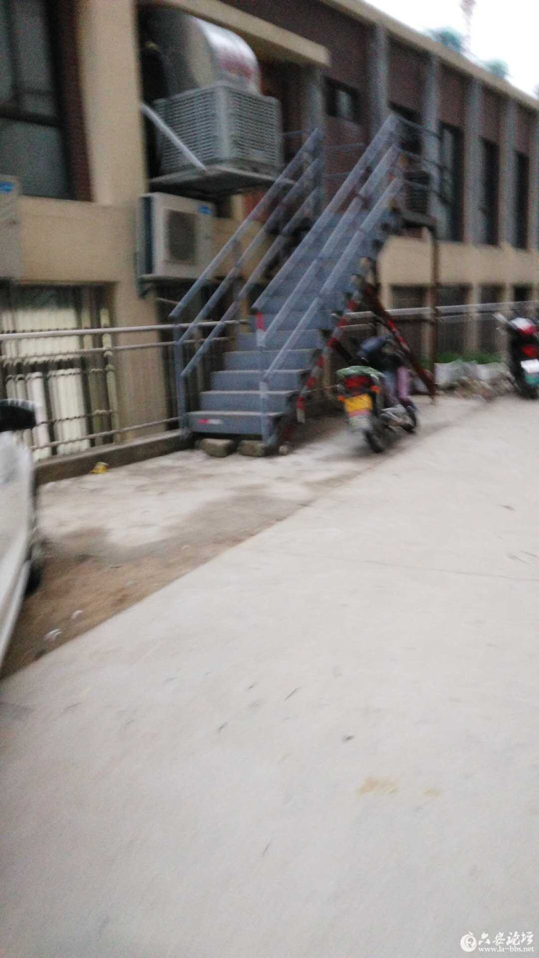 094629ogag8vgbkik9zar2.jpg