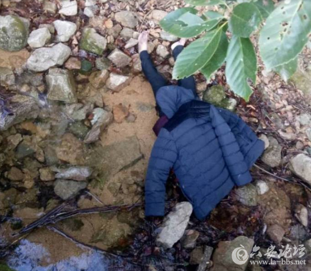 QQ截图20180224140818.png