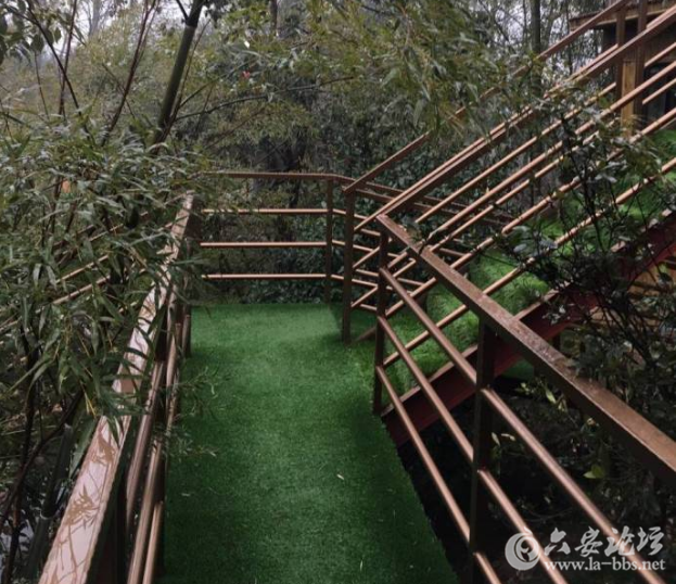 QQ截图20180225110419.png