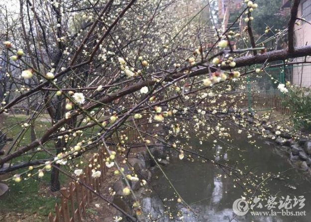 QQ截图20180225110447.png