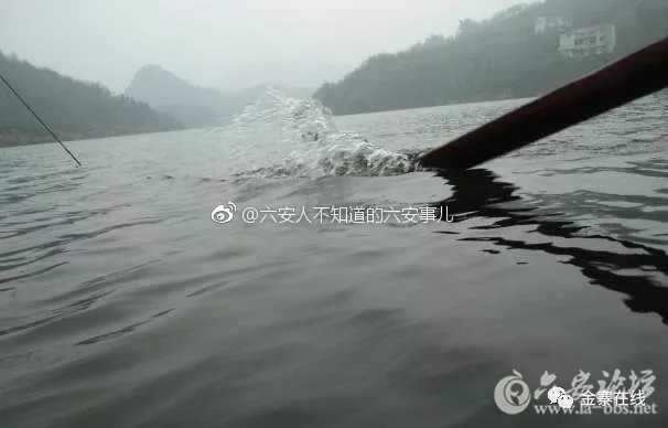0069Y3oMly1fp0ub088l4j30gu0asmxs.jpg
