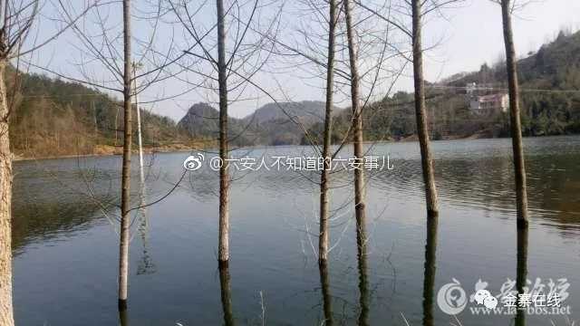 0069Y3oMly1fp0uaz5i0gj30hs0a0dh4.jpg