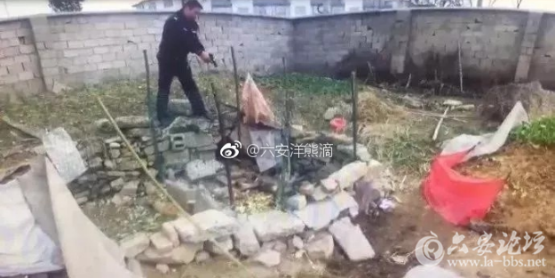 QQ截图20180305093252.png