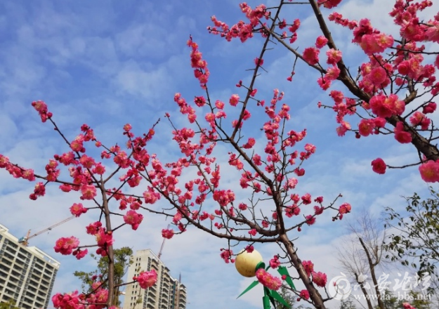 QQ截图20180306112547.png