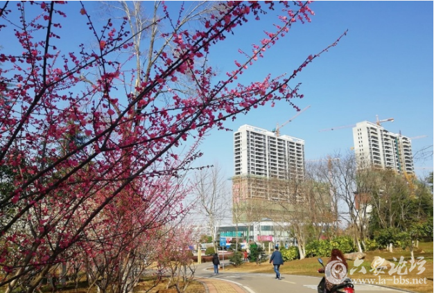 QQ截图20180306112640.png