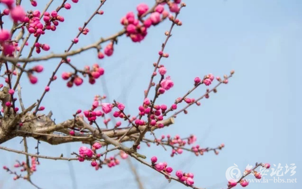 QQ截图20180307112811.png