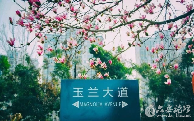 QQ截图20180307112817.png