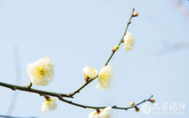 QQ截图20180307112855.png