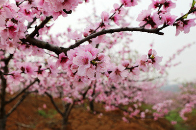 b41ed181gy1fp4d5kmlhjj20b407edjw_meitu_1.jpg