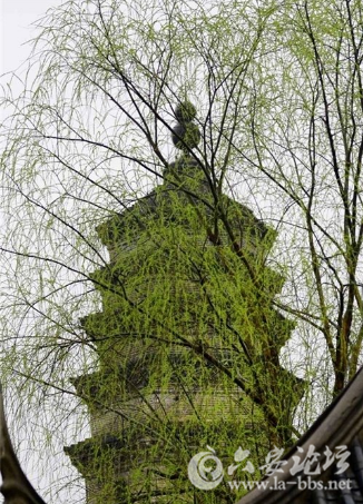 QQ截图20180308091757.png