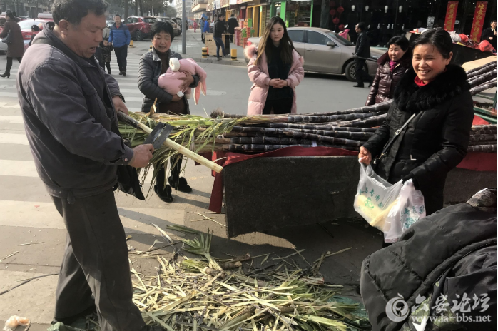 QQ截图20180309084645.png