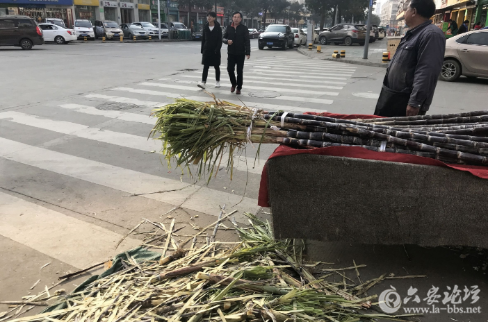 QQ截图20180309084729.png