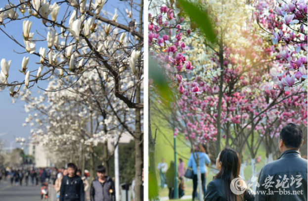 QQ截图20180309163200.png
