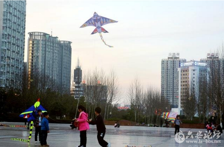 QQ截图20180313085301.png