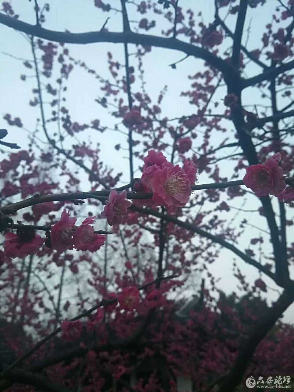 20180313_265184_1520910731225.jpg