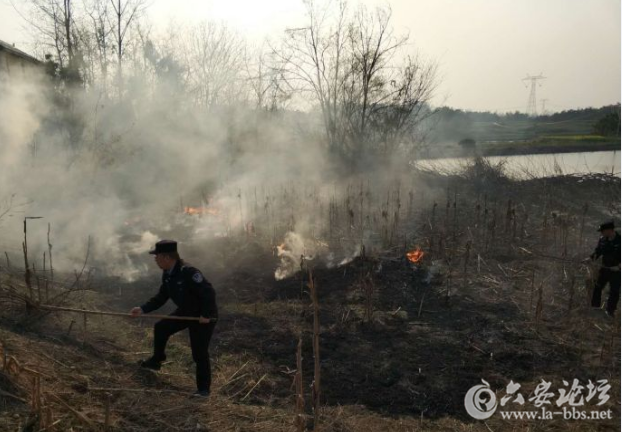QQ截图20180314103913.png