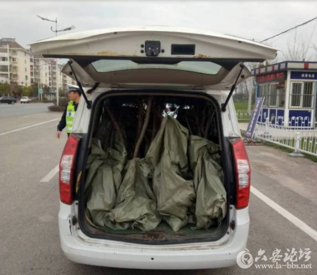 QQ截图20180315135529.png