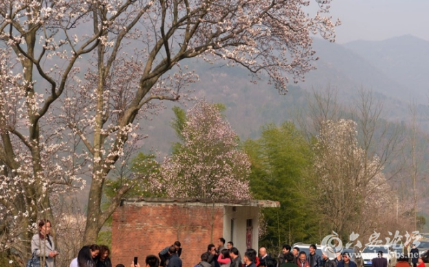 QQ截图20180315155505.png