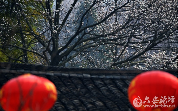 QQ截图20180315155525.png