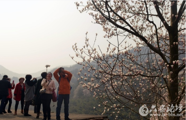 QQ截图20180315155558.png