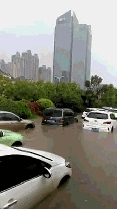 6.gif