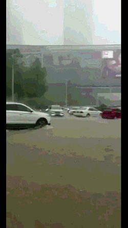 7.gif