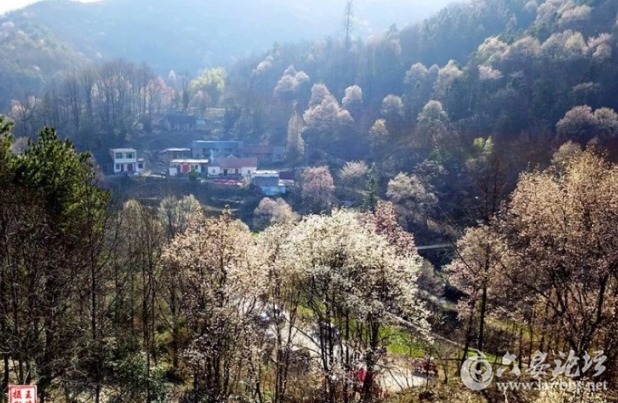 QQ截图20180316141830.png