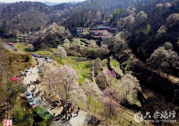 QQ截图20180316141850.png