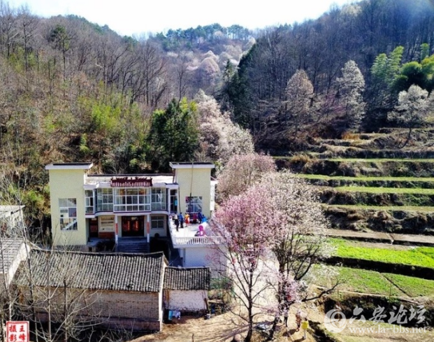 QQ截图20180316141857.png