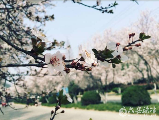QQ截图20180318092926.png